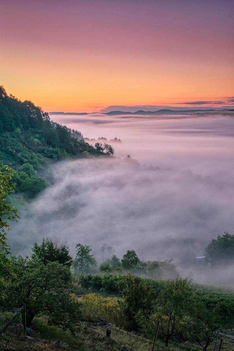 Fairytale setting